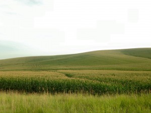 Rolling hills of the midwest