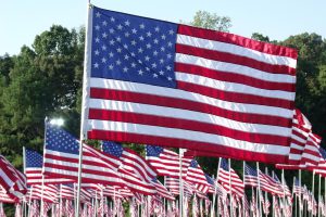 american-flags-trees