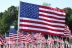 american-flags-trees