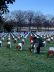 Wreaths3
