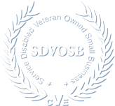 SDVOSB